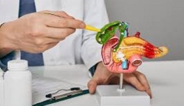 کیسه صفرا و مجاری صفراوی و بیماری های آن