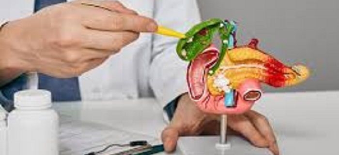کیسه صفرا و مجاری صفراوی و بیماری های آن