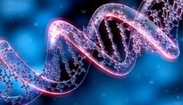 ژنتيک و مشاوره ژنتيک