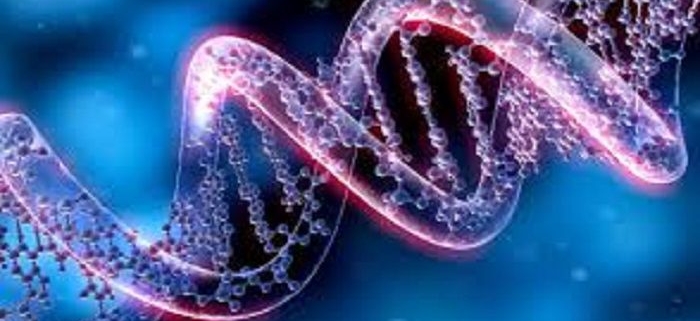 ژنتيک و مشاوره ژنتيک