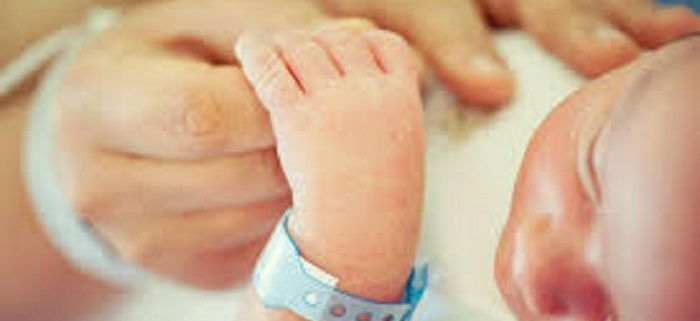 جنين آسيب پذير