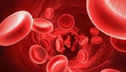 الکتروفورز استات _سلولز سیترات آگار