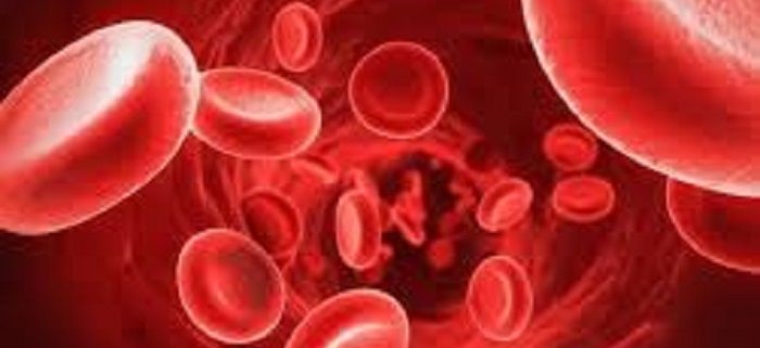 الکتروفورز استات _سلولز سیترات آگار