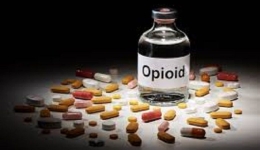 اوپیوئیدها