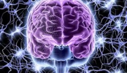 داخلی برونر اعصاب