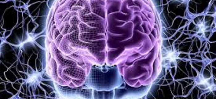 داخلی برونر اعصاب